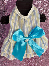 Load image into Gallery viewer, Multi Color Blue Bow Puppy Dress (XS)