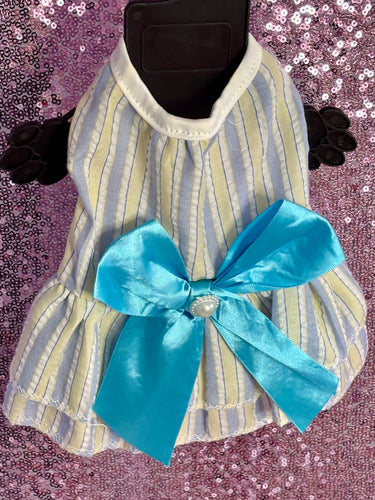 Multi Color Blue Bow Puppy Dress (XS)
