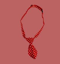 Load image into Gallery viewer, Adjustable Fashion Cat/Dog Collar