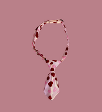 Load image into Gallery viewer, Adjustable Fashion Cat/Dog Collar