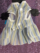 Load image into Gallery viewer, Multi Color Blue Bow Puppy Dress (XS)