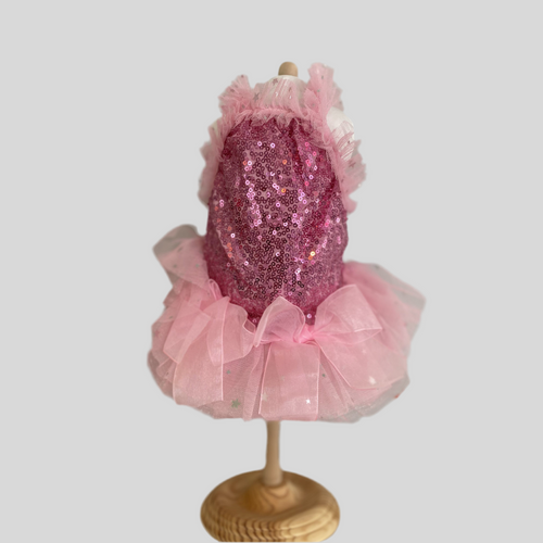 Pink Dazzling Dress XSmall
