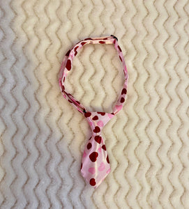 Adjustable Fashion Cat/Dog Collar