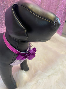 Glam Cat Collar With Bell